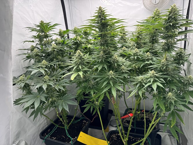 Growreport Bild 7