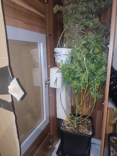 Growreport Bild 22