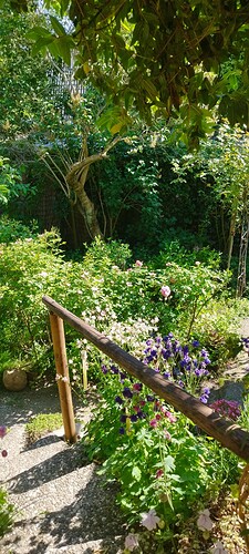 Growreport Bild 10