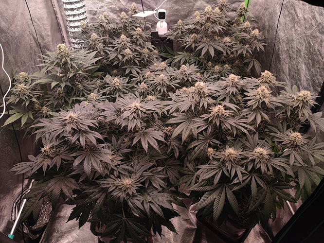 Growreport Bild 11