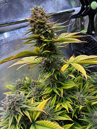 Growreport Bild 13