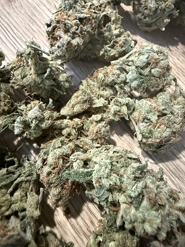 Growreport Bild 7