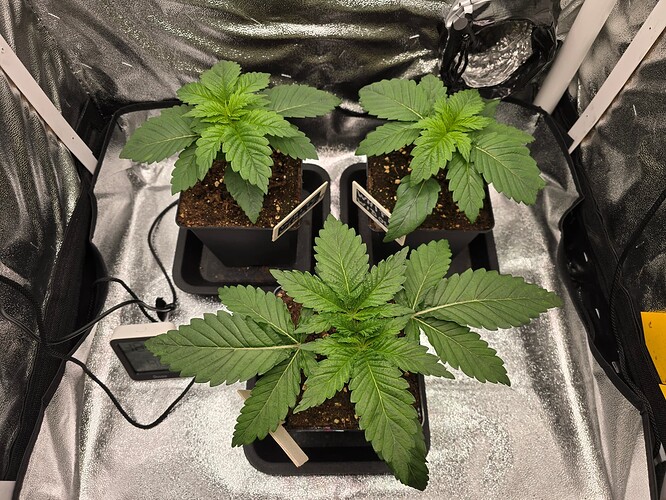 Growreport Bild 12