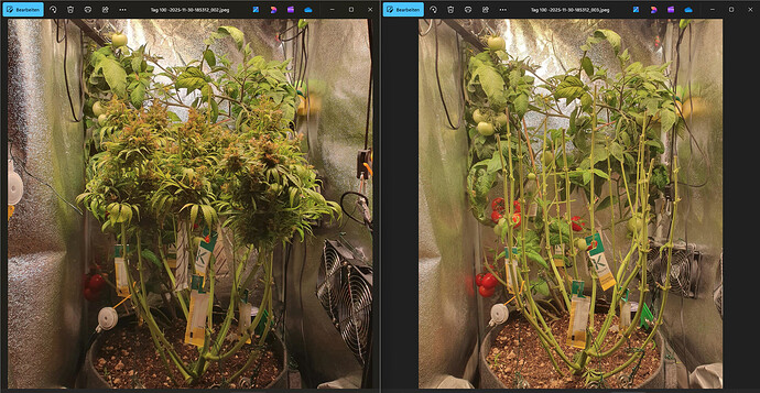 Growreport Bild 9