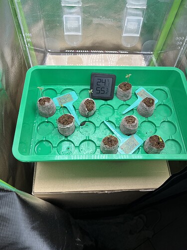 Growreport Bild 3