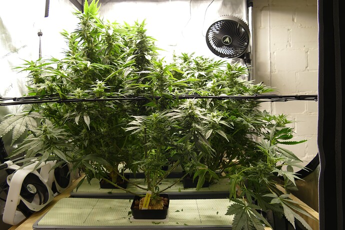 Übersicht_vorne_mitte_VT76BT29