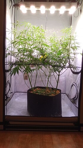 Growreport Bild 15