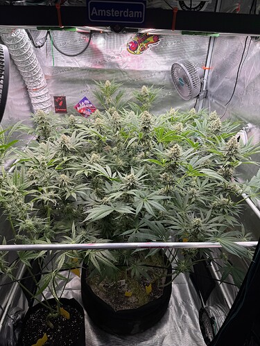 Growreport Bild 1
