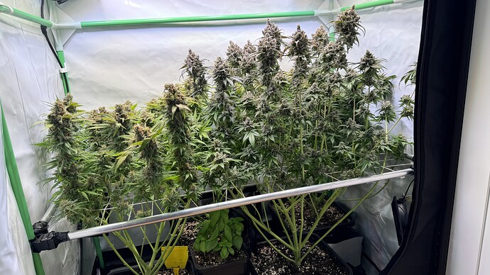 Growreport Bild 17