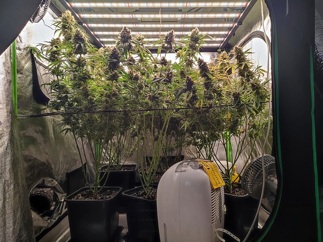 Growreport Bild 20