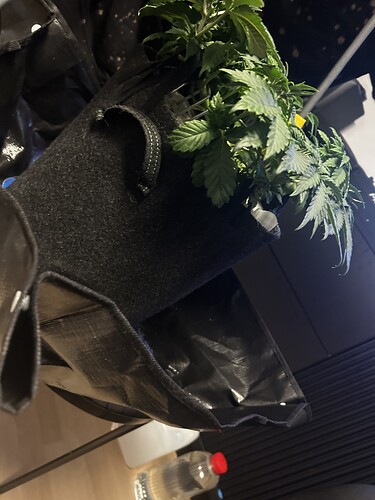 Growreport Bild 10