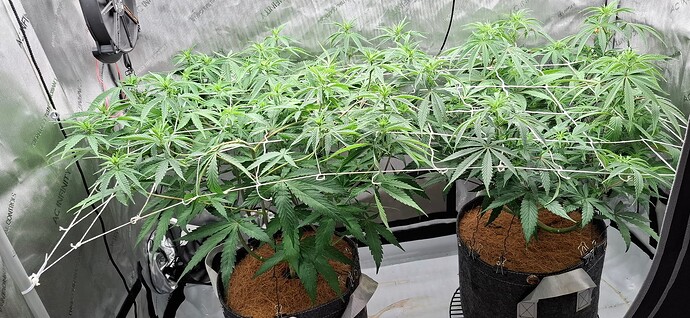 Growreport Bild 10
