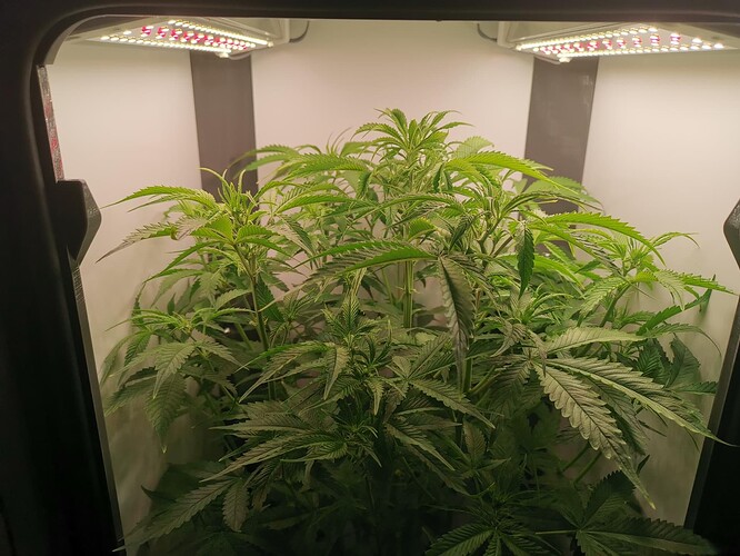 Growreport Bild 14