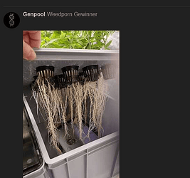 Screenshot 2025-10-13 at 23-50-55 Rootporn - hosen runter wurzeln raus! - Weedporn - Forum Cannabisanbauen.net