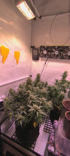 Growreport Bild 6