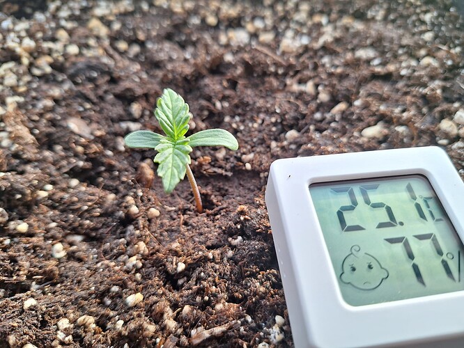 Growreport Bild 9