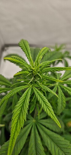 Growreport Bild 10