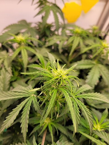 Growreport Bild 3