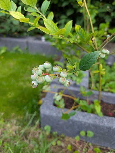 PXL_20250530_102941488