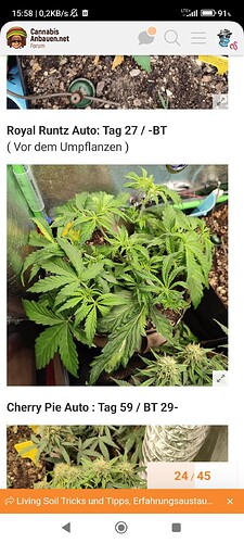 Screenshot_2024-05-11-15-58-04-928_com.android.chrome