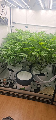 Growreport Bild 2
