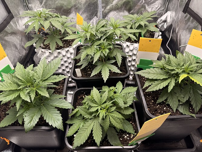Growreport Bild 15