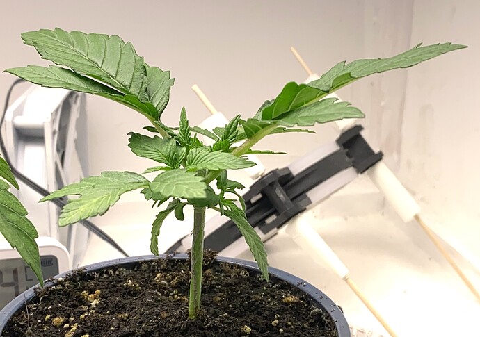 Growreport Bild 24