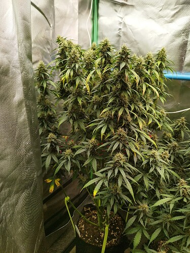 Growreport Bild 21