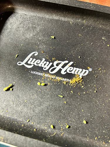 Ein schwarzes Rolling Tray der Marke Lucky Hemp mit Pflanzenresten und Pollensäcken.