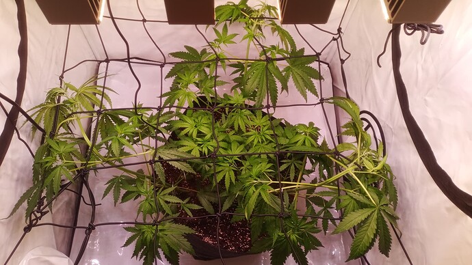 Growreport Bild 14