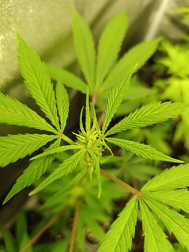 Growreport Bild 8