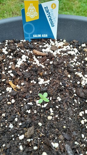 Growreport Bild 23