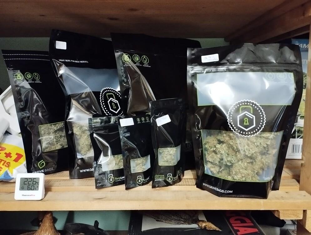 Classic Grow der großen Ahnungslosigkeit mit Sorten für ältere Herrschaften: Durban Poison und Orange Bud teilen sich ein 120x120 Zelt - die Beute ist eingetütet!