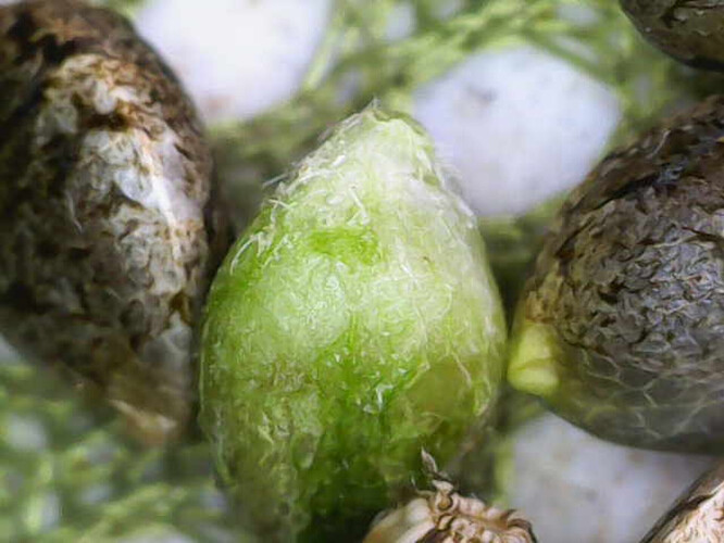 Image_2025-04-10 10_07_34_978