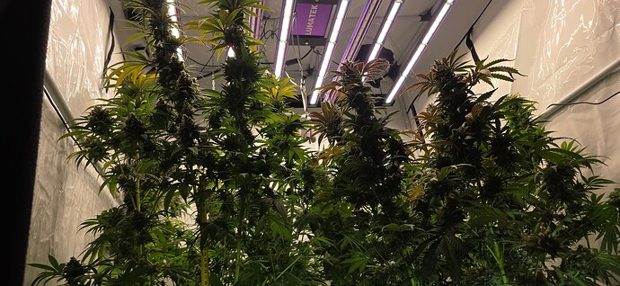 Growreport Bild 2
