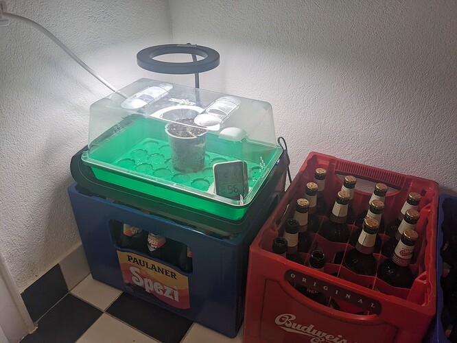 PXL_20240422_223131529