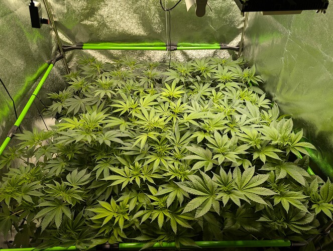 Growreport Bild 2