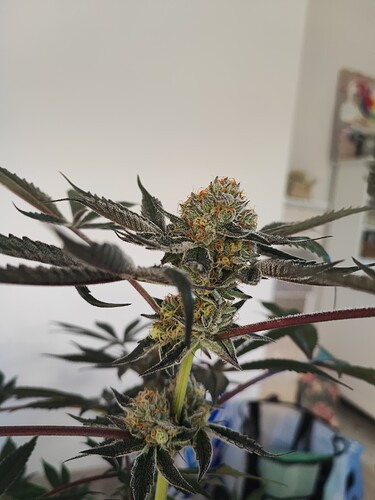 Growreport Bild 23