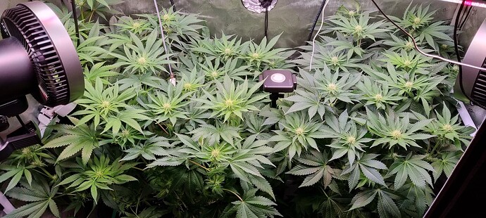 Growreport Bild 2