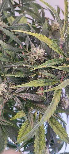 Growreport Bild 8