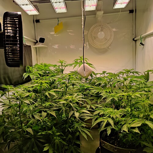 Growreport Bild 14