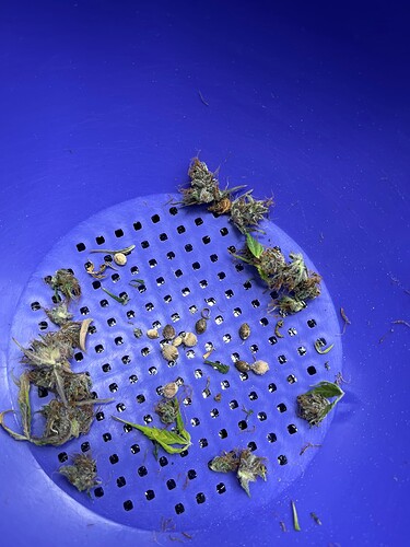 Growreport Bild 10