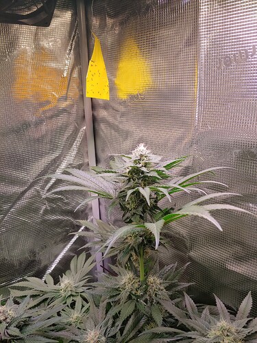 Growreport Bild 24