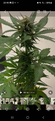 Screenshot_20240604_224946_Gallery