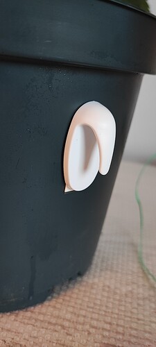 Growreport Bild 7