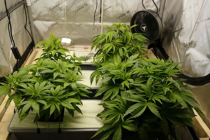 Übersicht_vorne_VT31