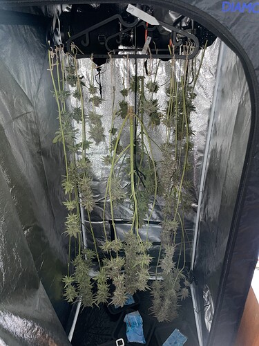 Growreport Bild 26