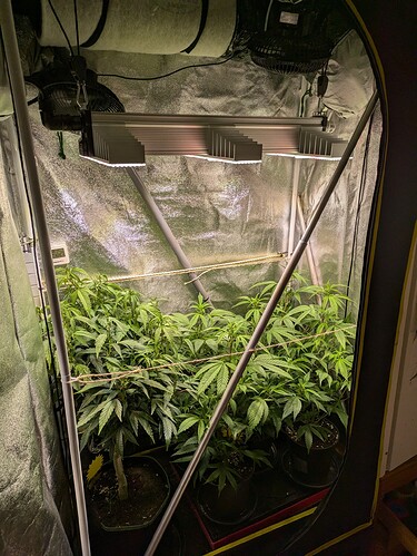 Growreport Bild 1