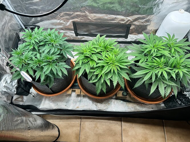 Growreport Bild 6