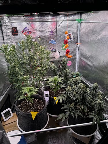 Growreport Bild 25